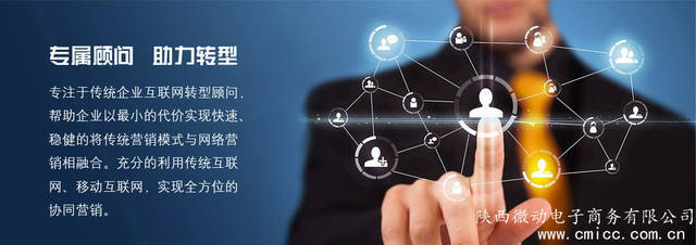西安最專業的全網營銷策劃公司 互聯網銷售的新引擎